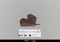 藏品(中國湖北皮影戲盔帽)的圖片